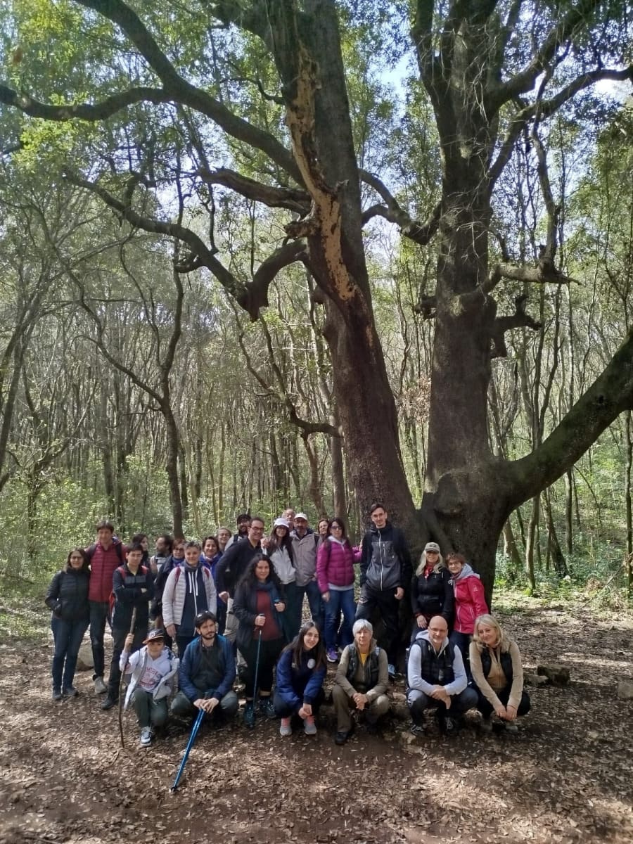 Job shadowing en Grecia — Dodona